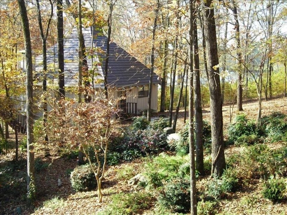 Serenity House in the Spring