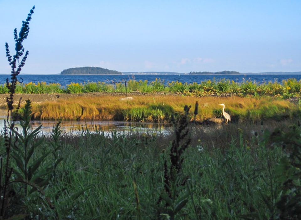 Front view with Heron