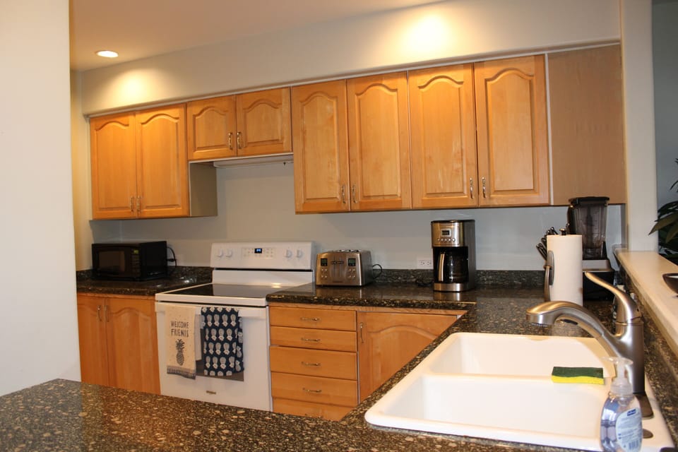 Well appointed kitchen with everything you need for a dinner party
