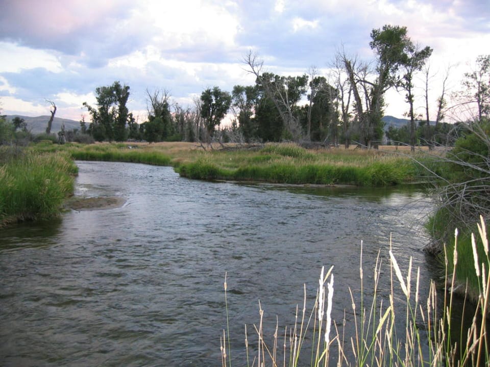 Amazing fishing hole, you can see right where that big brown or rainbow will be!