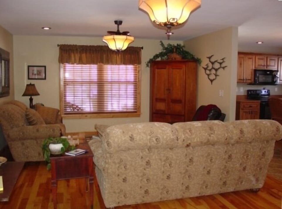 Open Family Room With DVD Library