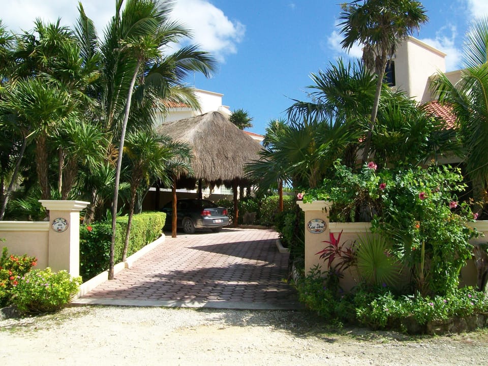 Driveway to villa