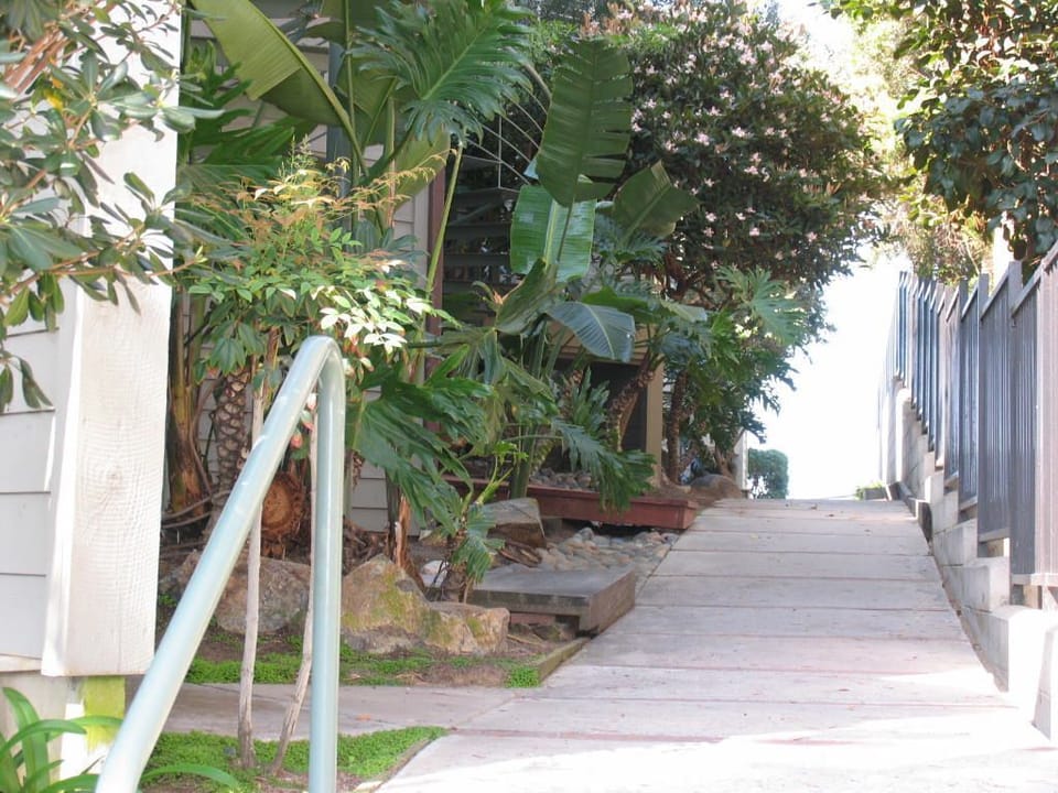 Up the garden path