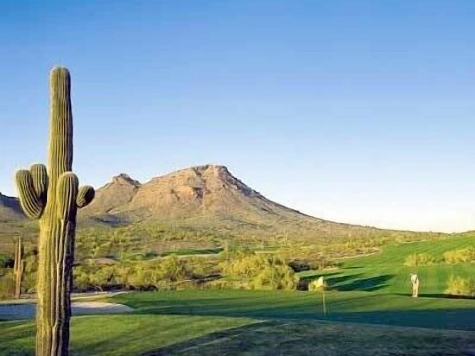 One of the many nearby golf courses.