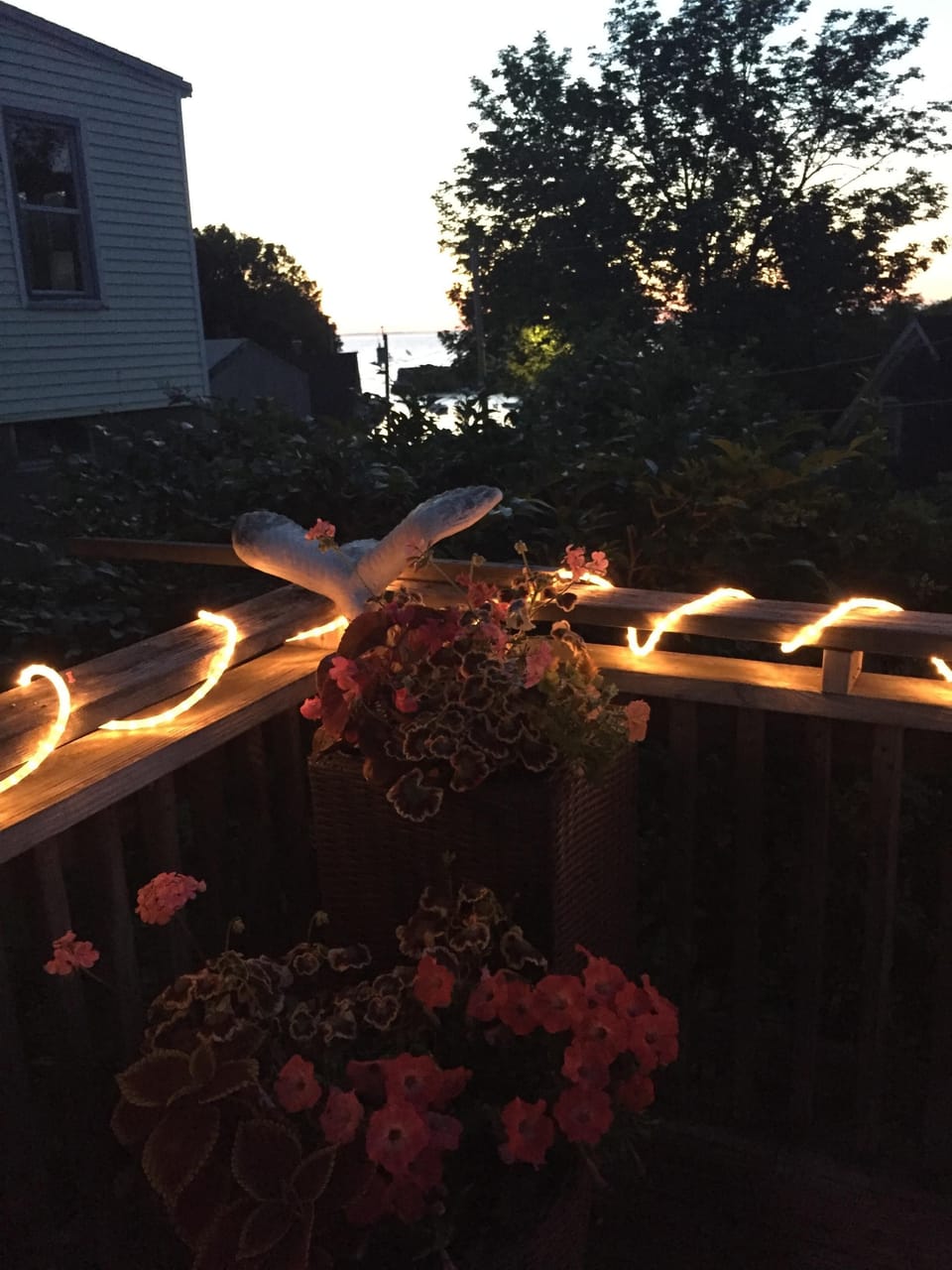 Photo of the Cover from the deck, Seagull not included. 
