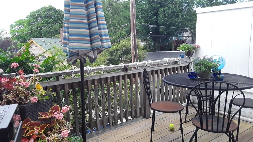 Deck, overlooking Duley St homes and Cove. 