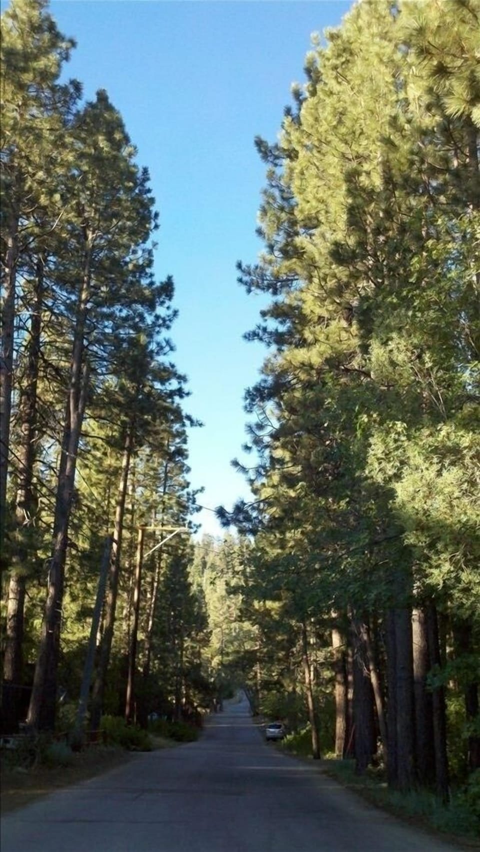 The drive up historic Georgia St. in Big Bear Lake.