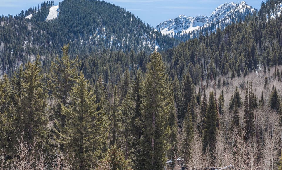 view from the master bedroom