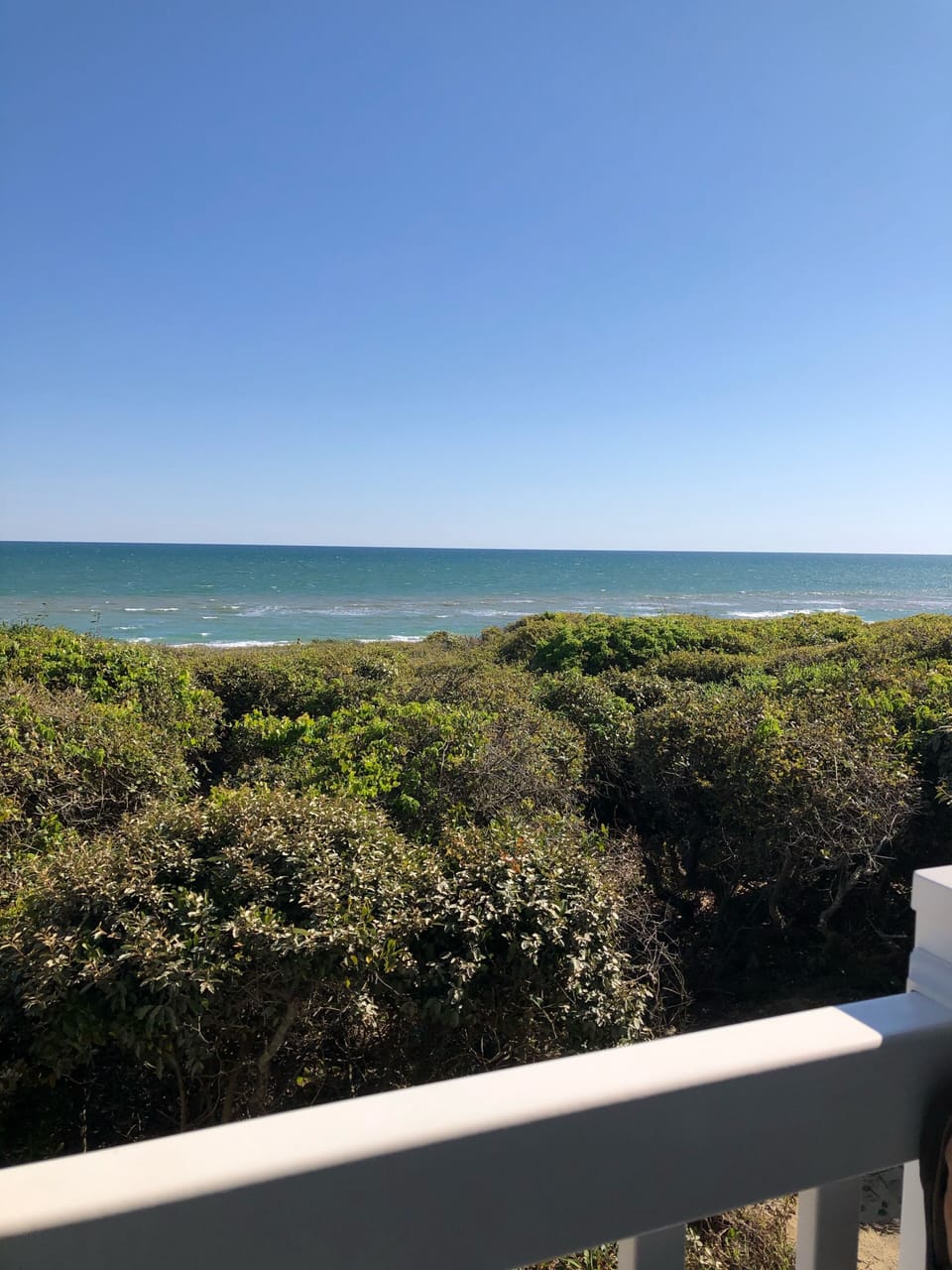 More deck views- we love watching dolphins from the deck!