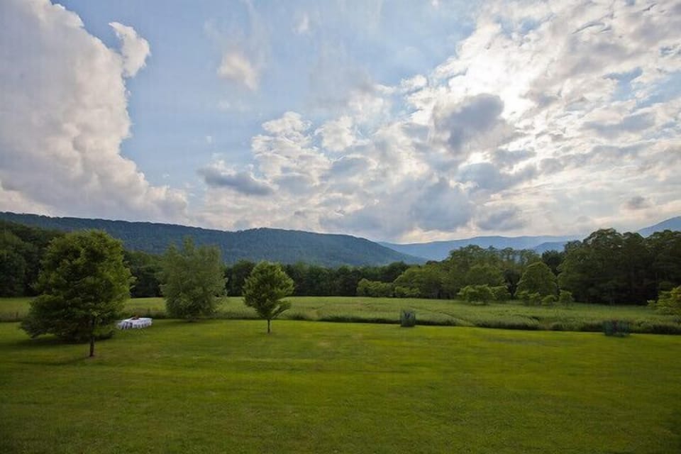 Yard view from the deck