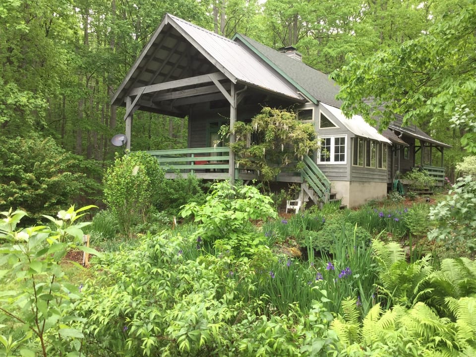 Back of lodge, covered porch overlooking    small pond and back garden