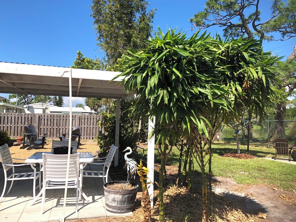 Backyard covered pergola