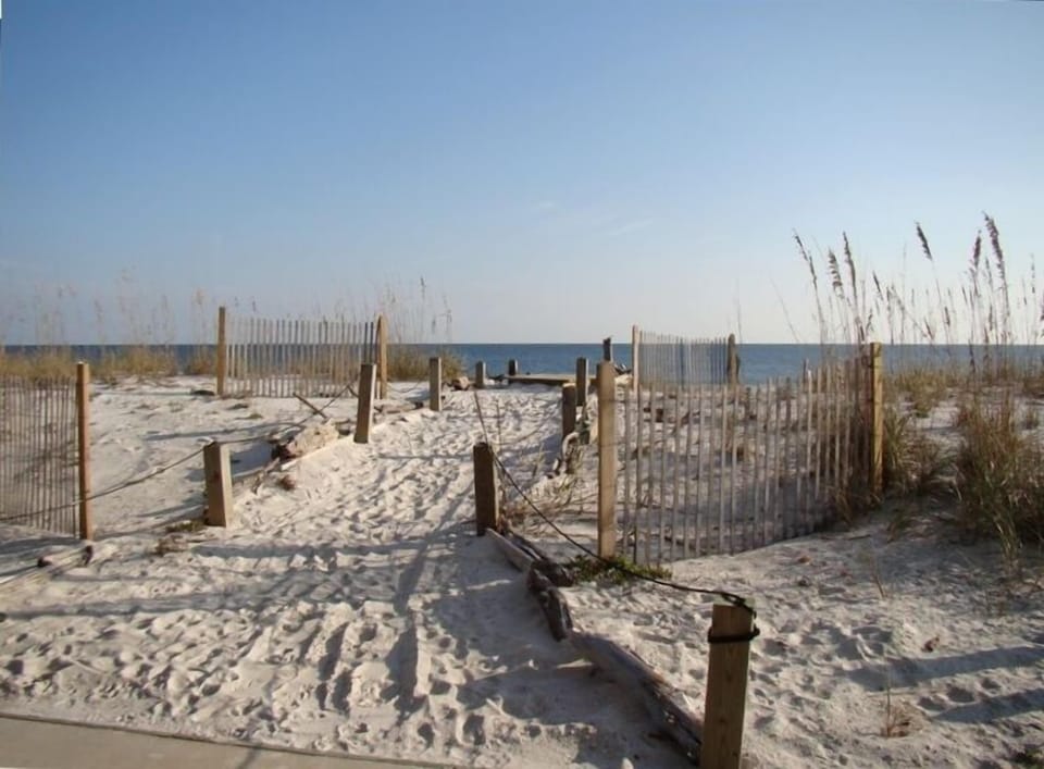Dune Path