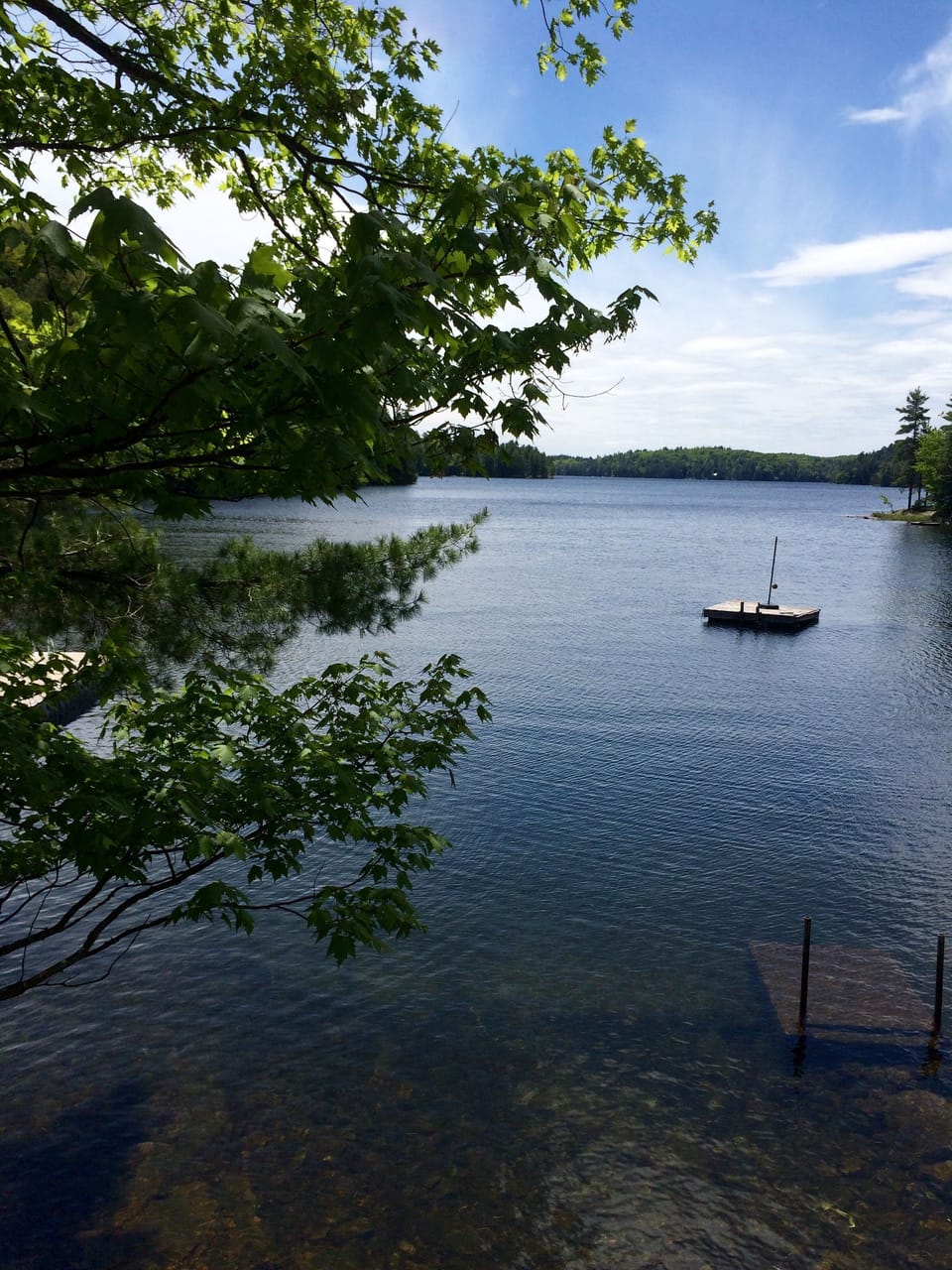 The view down the lake from our wrap around deck.
