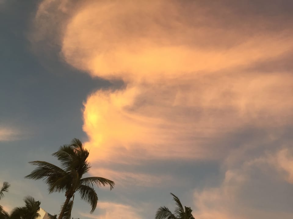 Are those angel wings??  Really big angel!