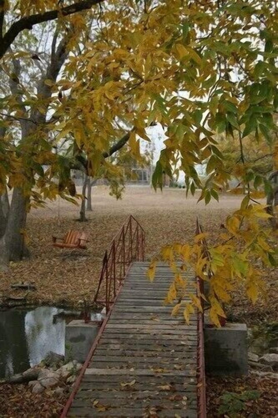 Tranquil foot bridge crosses the springfed creek.