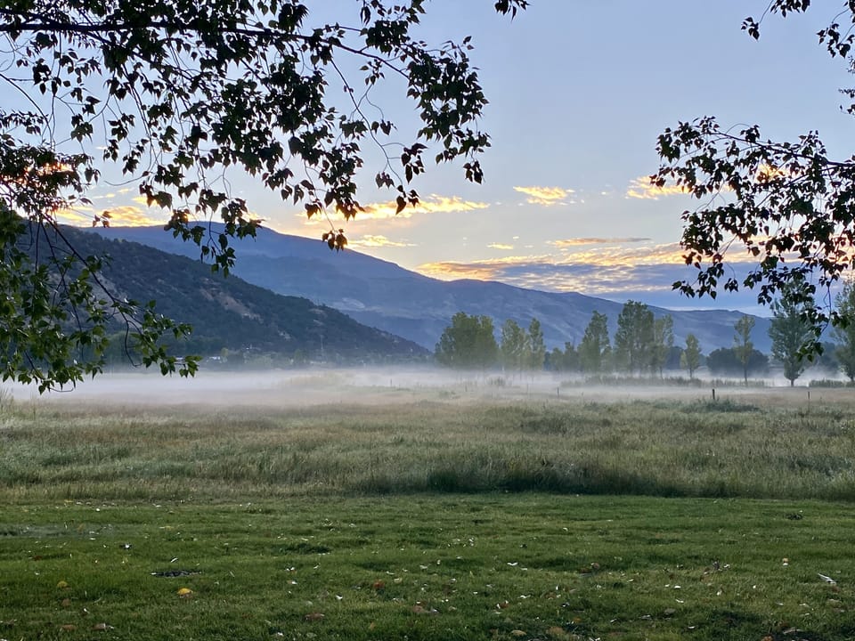 Another beautiful sunrise while the fog settles in the neighborhood meadow