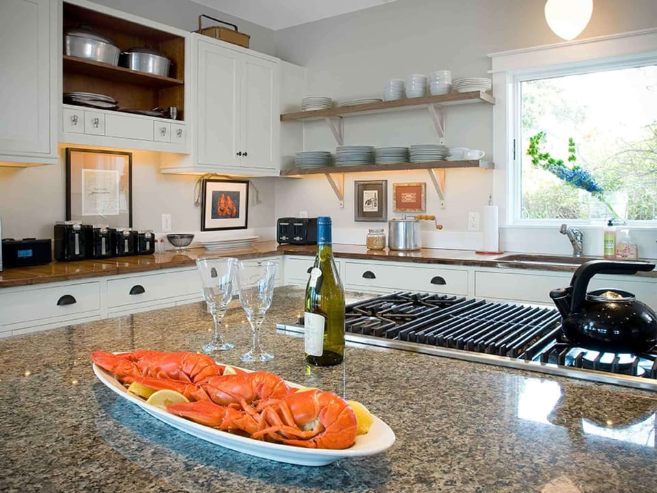 Professional Kitchen with gas stove, indoor grill, double ovens, mixers, gadgets