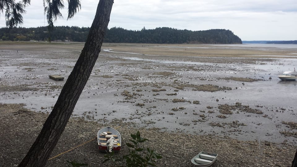 Low tide.  -.08'