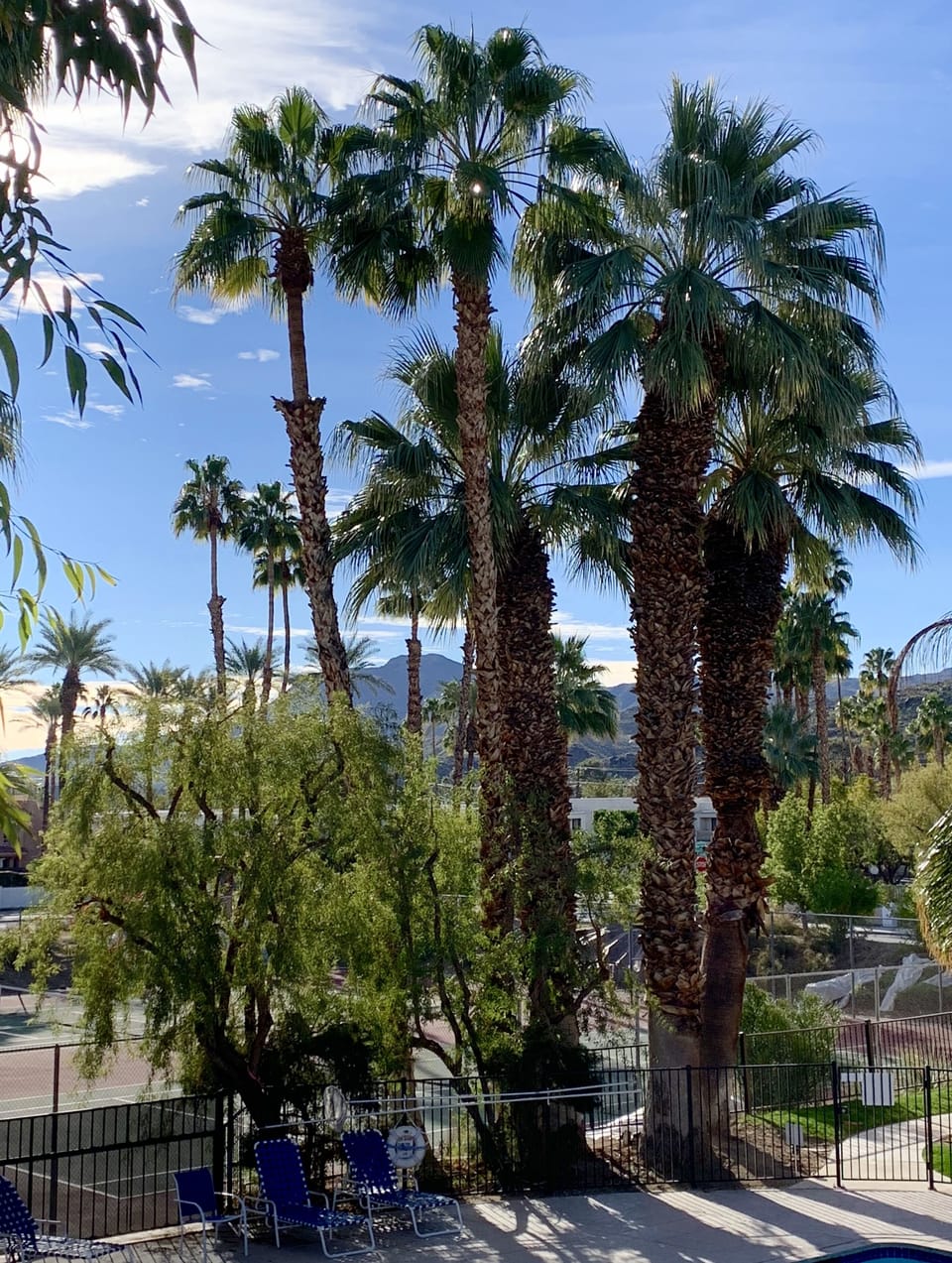 View
