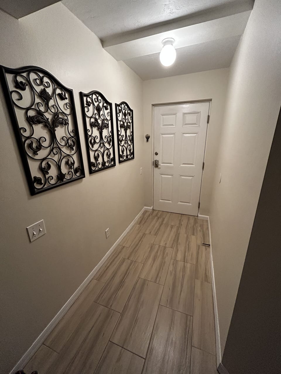Entry Door and Hallway