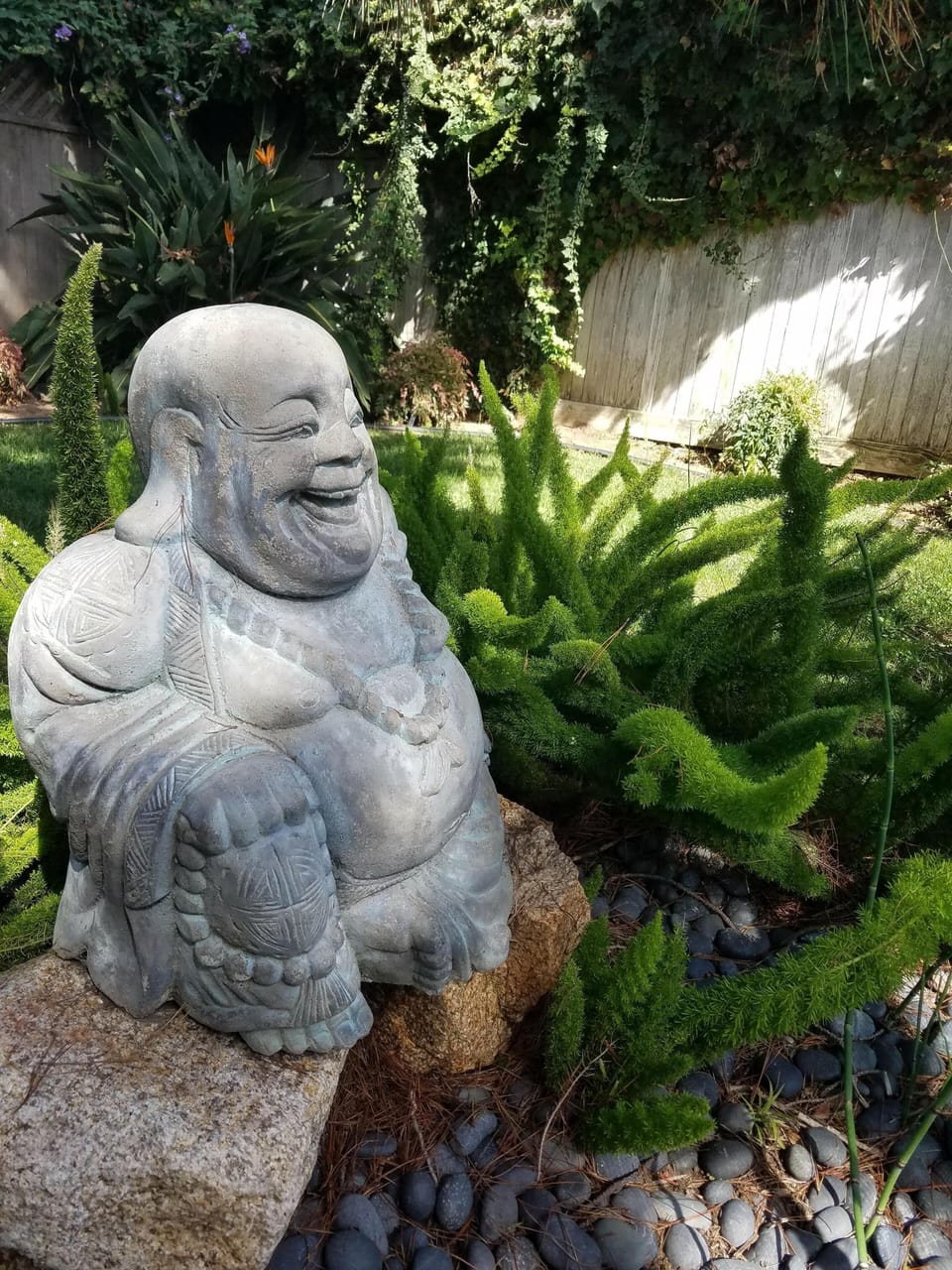 Smiling buddha by head of pool.