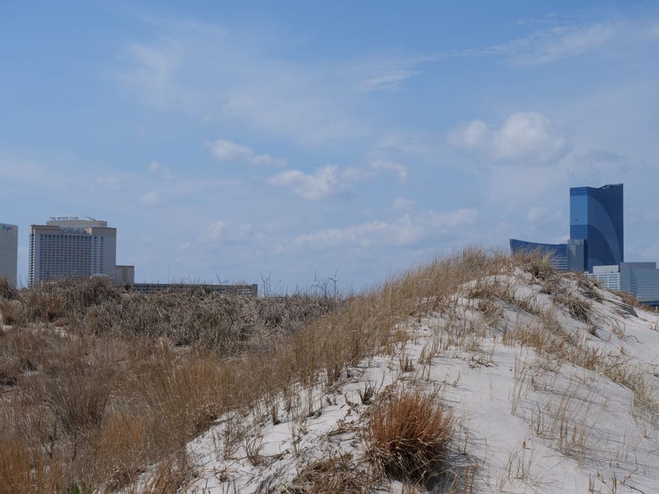 South end dunes