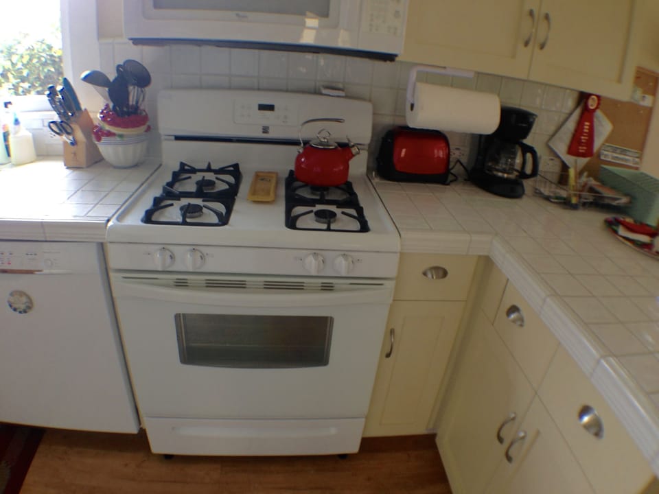 Gas stove, microwave and dishwasher are luxuries in a small cottage