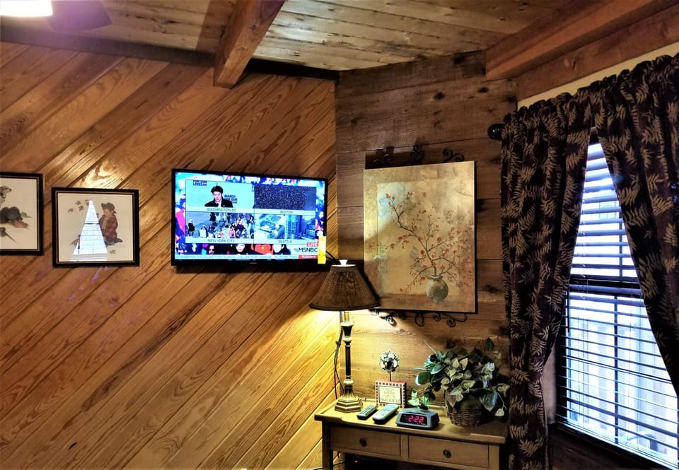 Comfortable & cozy main-level bedroom-double closet-TV-DVD player-Ceiling fan