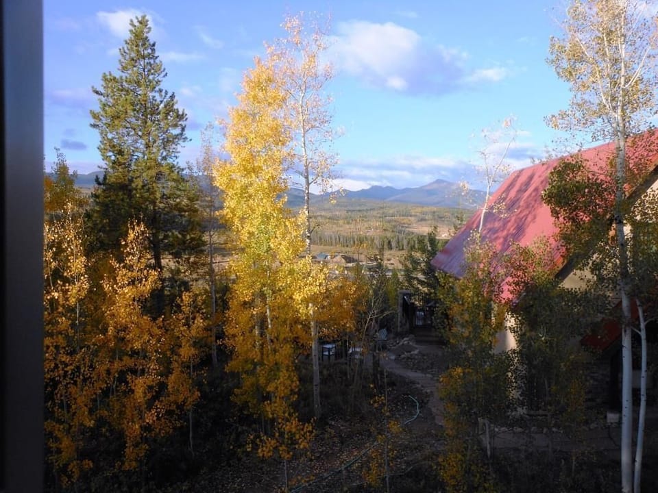 2015 Fall Colors Hiding Outdoor Patio