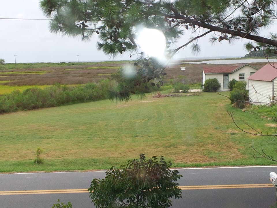 View from the upstairs nook
