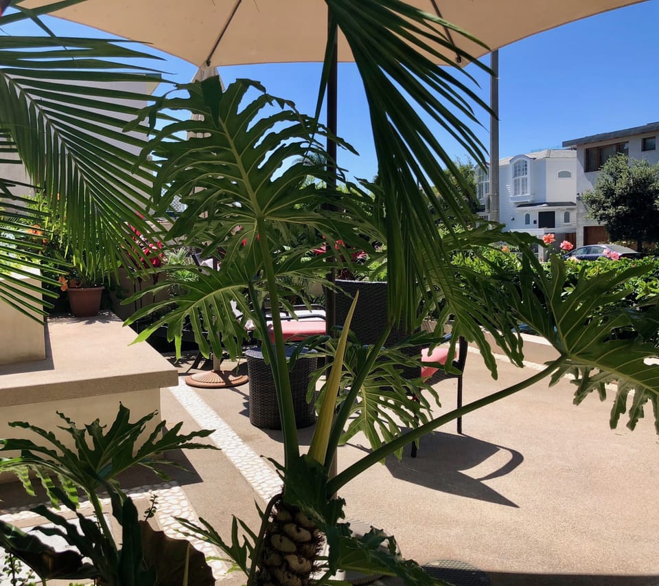 Just outside the door is a lovely private patio for your use.