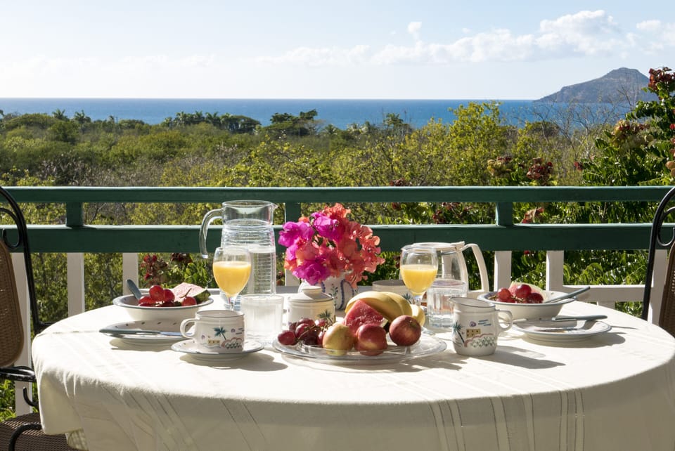 Breakfast with tropical fruit on our terrace looking across the ocean .