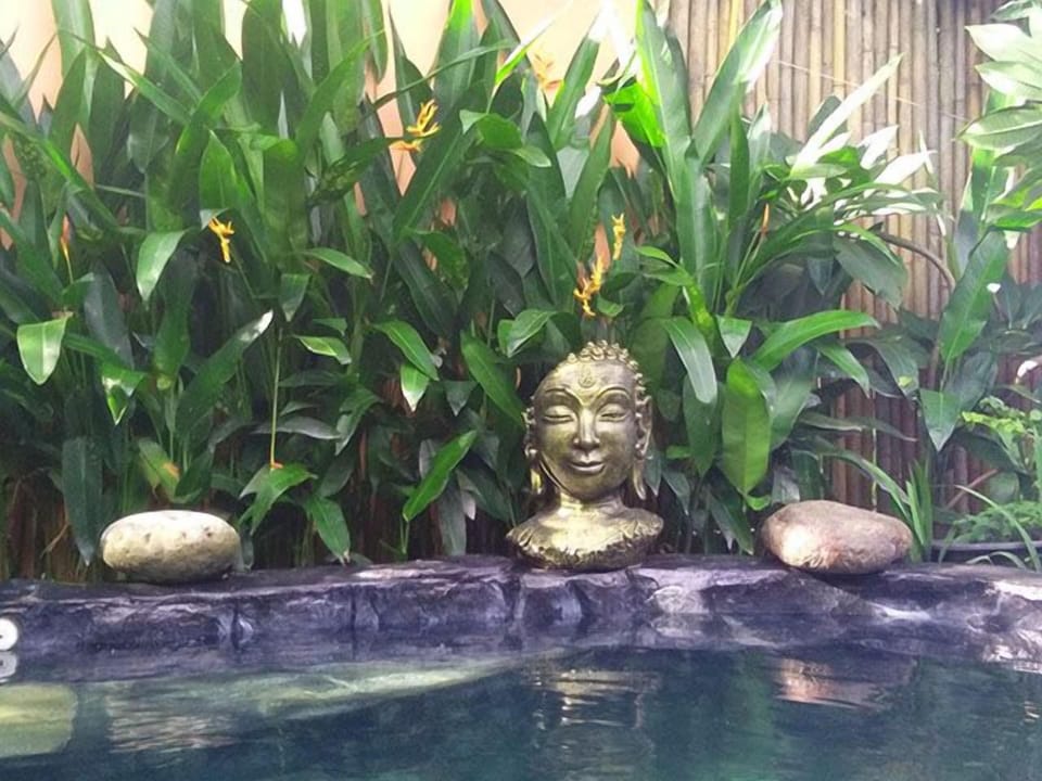 NATURE WITH A TOUCH OF LUXURY