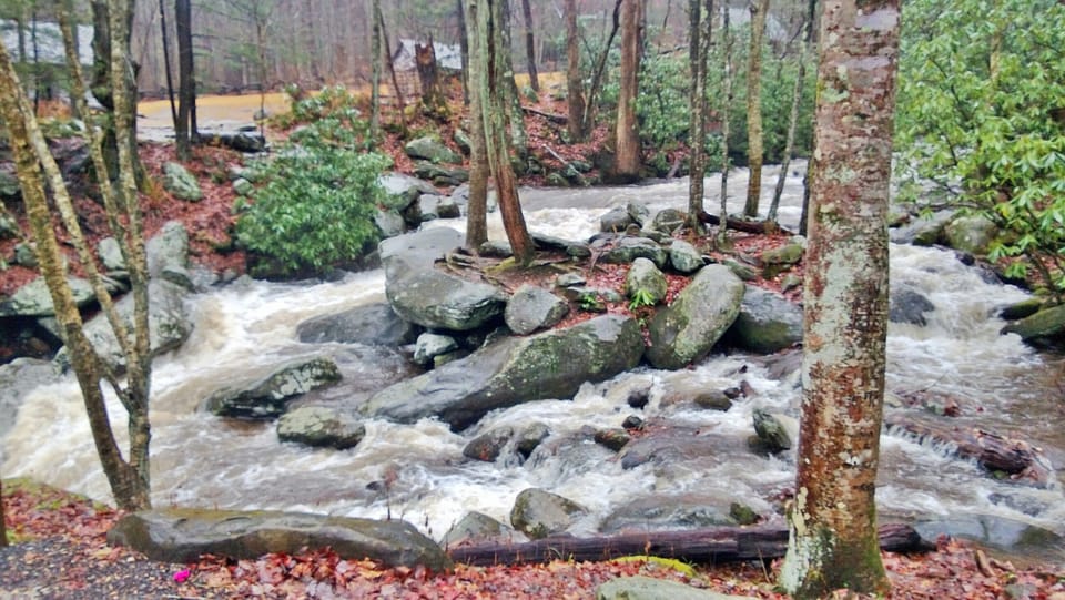 Roaring Fork Motor Nature Trail - Smoky Mountains National Park
