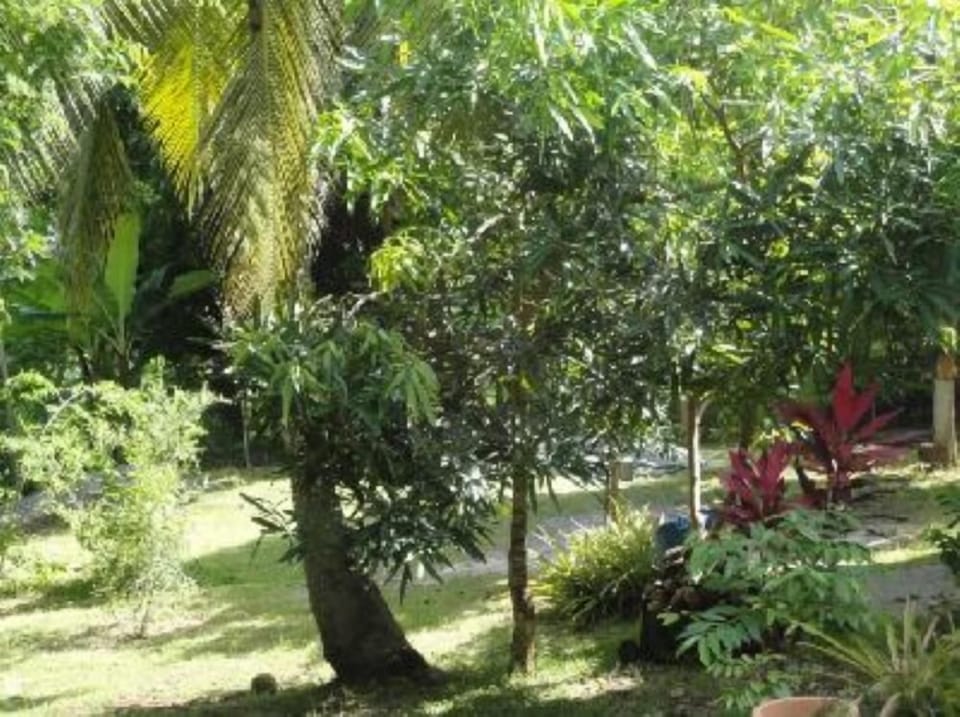 Garden, Park
