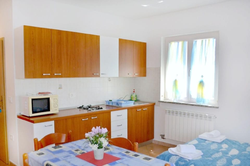 The kitchen is equipped with a microwave and a two-burner stove.
