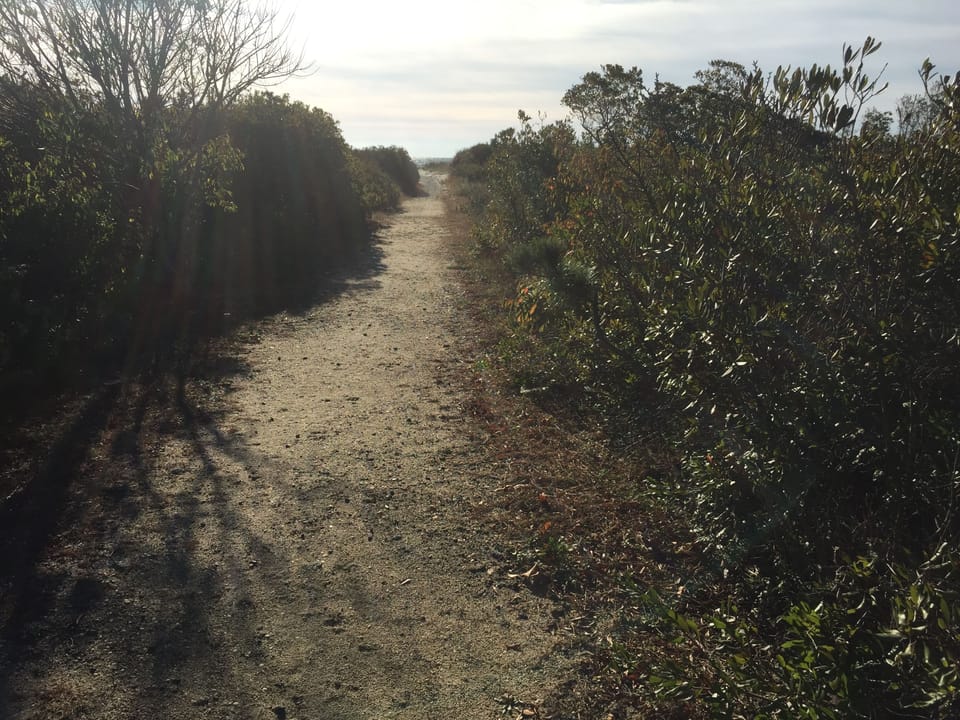 Path to the 32nd street beach -- New Jersey's finest!