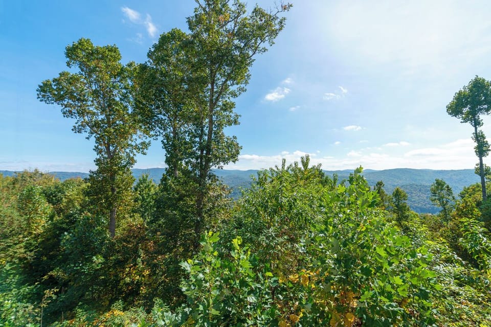 Deck Area--- Mountain View