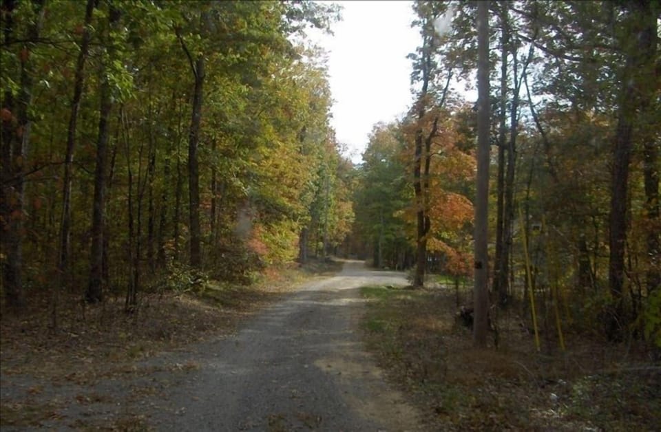 Mtn, View with Scenic Hiking Trail down to Little River