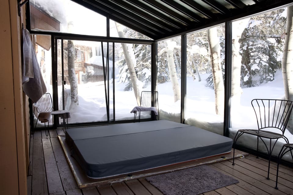 Backyard from solarium