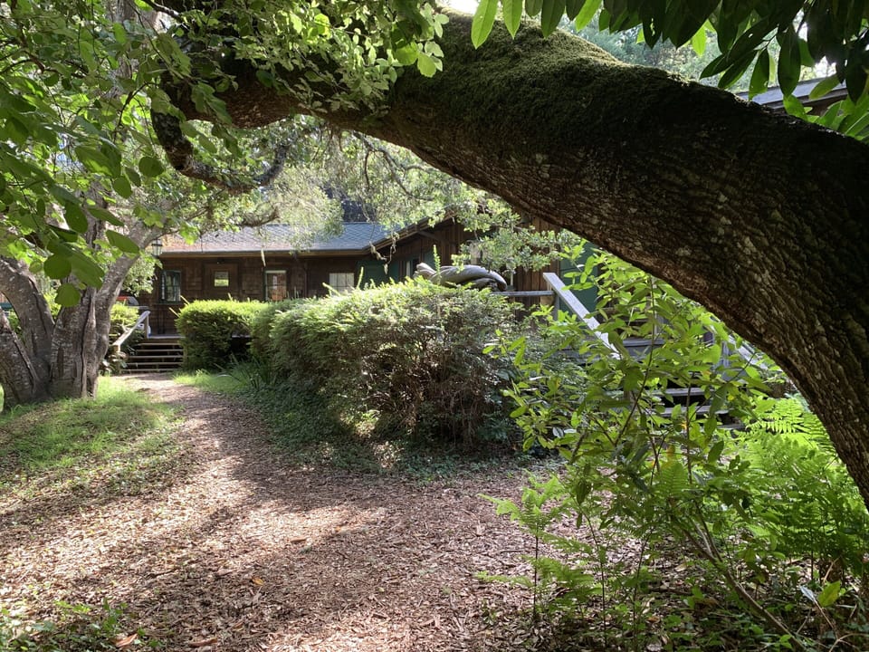 The garden is a fully-fenced, private, wooded paradise.