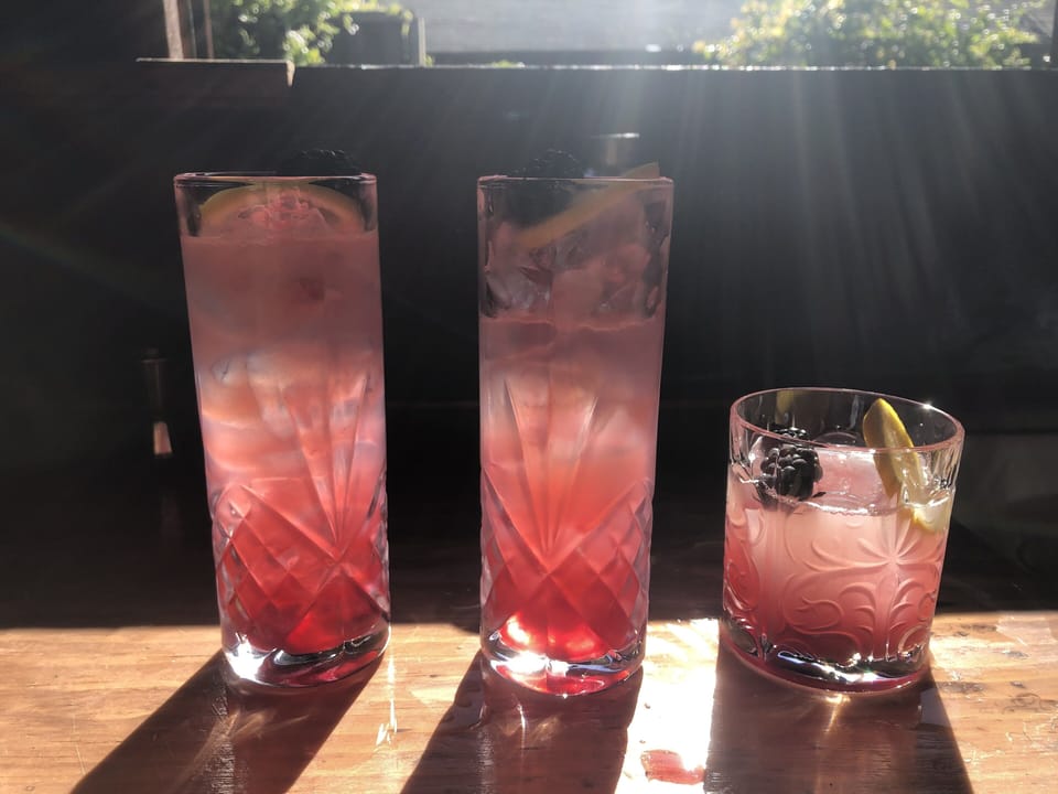 These Bramble cocktails feature our garden blackberries! (recipe upon request!)