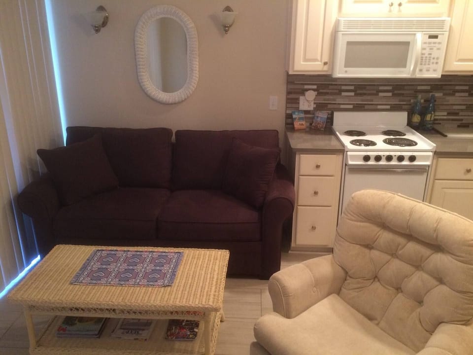 Sleeper Sofa