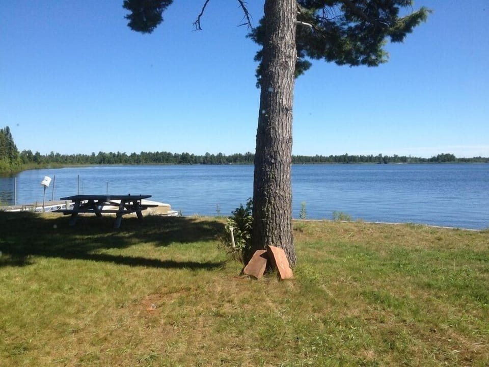 View from back yard.