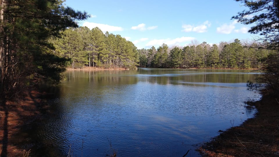 Emerald Pond on walking trail