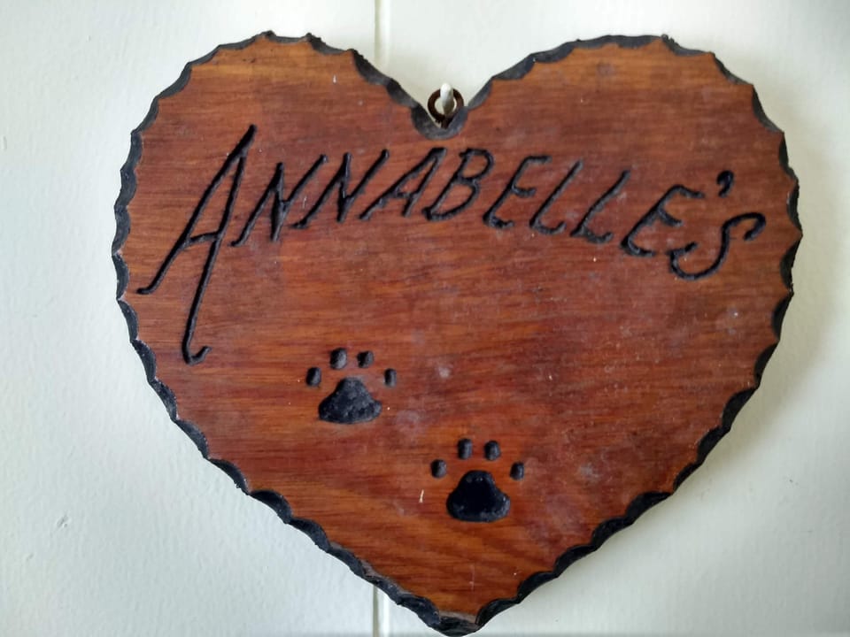 When the boys were little we had a B & B in Dillon, Colorado