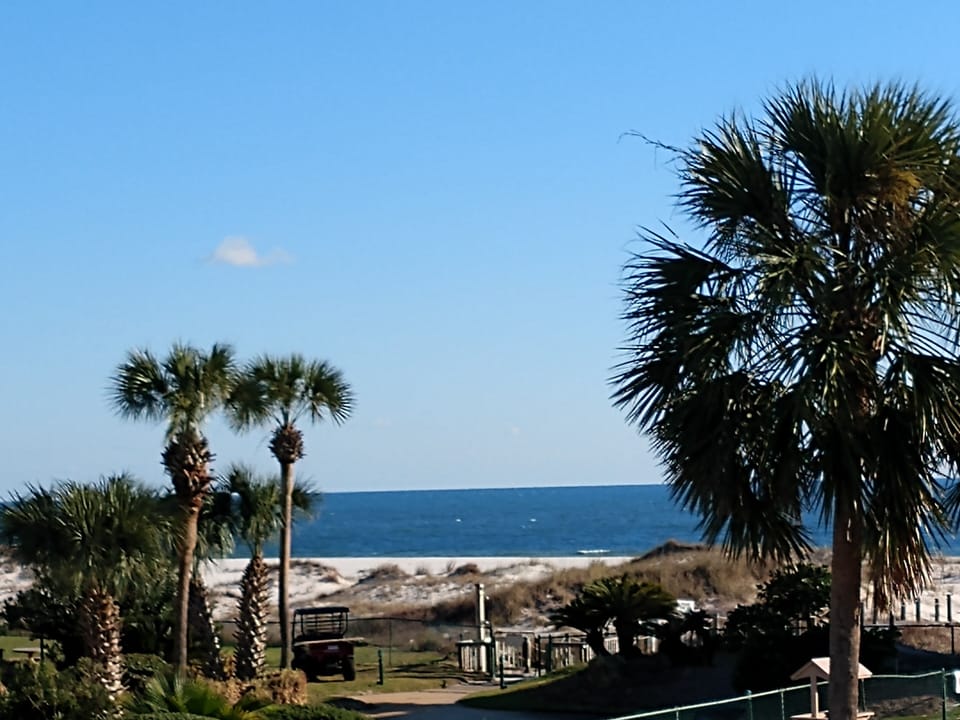 Zoomed in to show gate to boardwalk.