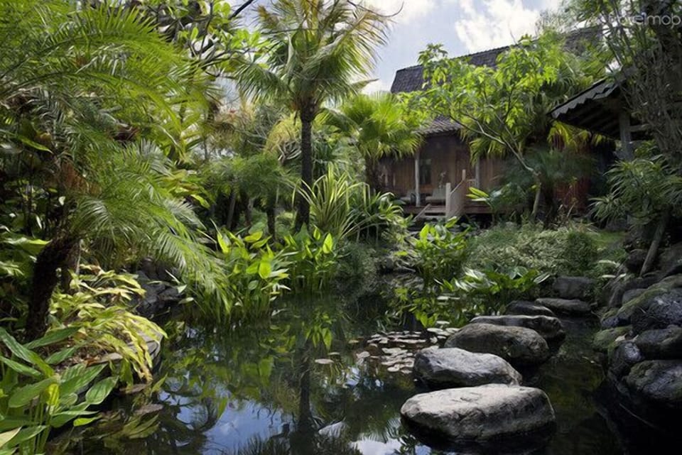 1BR wooden villa in Canggu