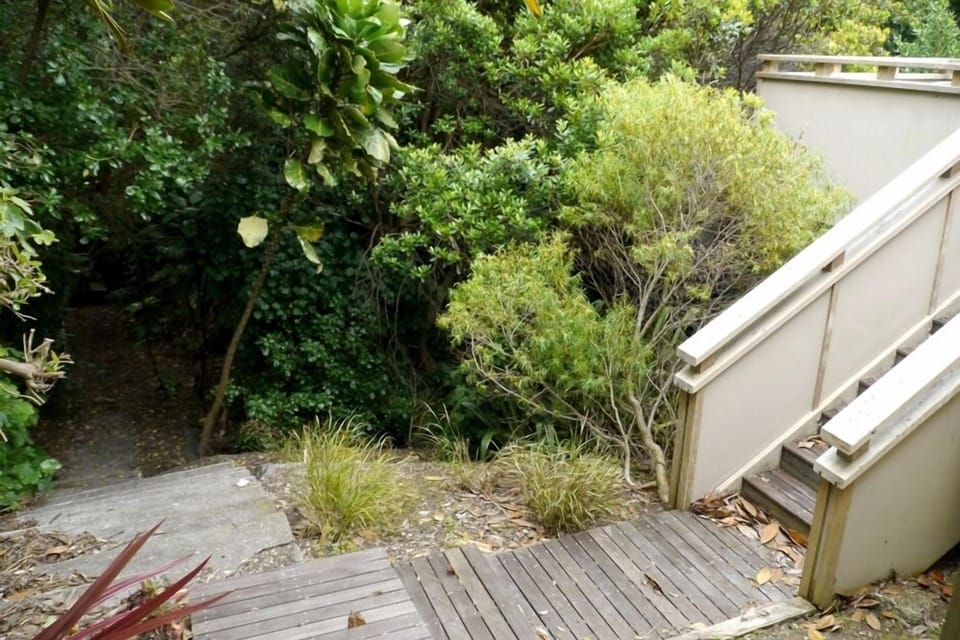 Back Garden